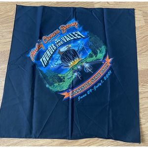 Vintage 2001 Harley Davidson Bandana Kerchief Minnesota State Rally 22 x 22
